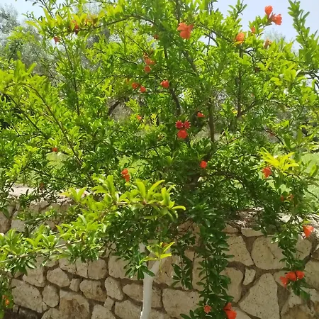 Апартаменты Riverside αpartments *