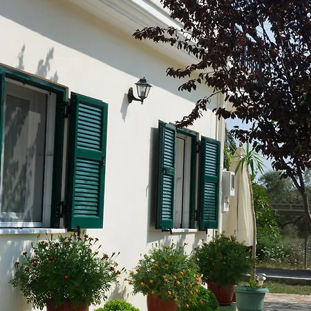 Riverside αpartments Βασιλική