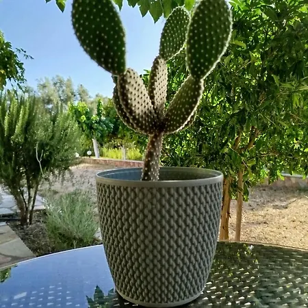 Riverside αpartments * Vaszilikí