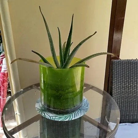 Riverside αpartments Apartman