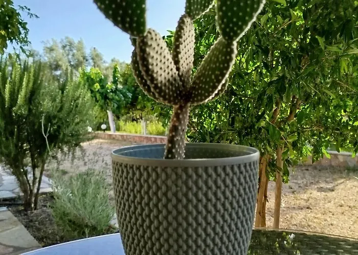 Riverside αpartments * 바실리키