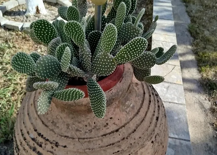 Riverside αpartments *