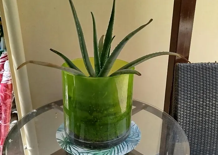 Riverside αpartments 아파트