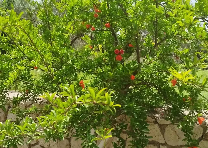 아파트 Riverside αpartments *